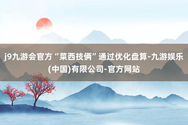 j9九游会官方“菜西技俩”通过优化盘算-九游娱乐(中国)有限公司-官方网站