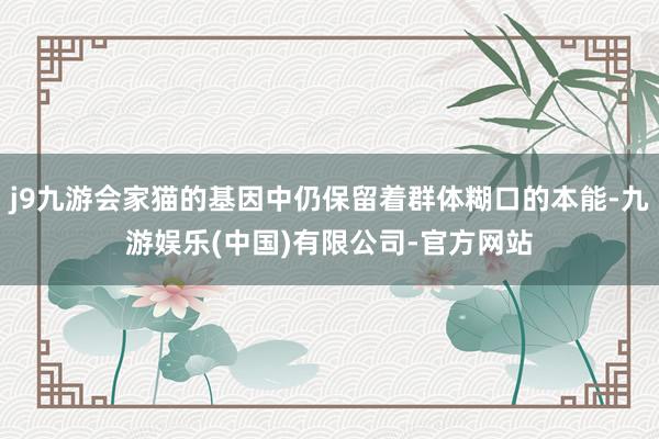 j9九游会家猫的基因中仍保留着群体糊口的本能-九游娱乐(中国)有限公司-官方网站