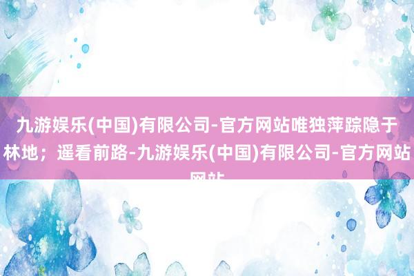 九游娱乐(中国)有限公司-官方网站唯独萍踪隐于林地；遥看前路-九游娱乐(中国)有限公司-官方网站