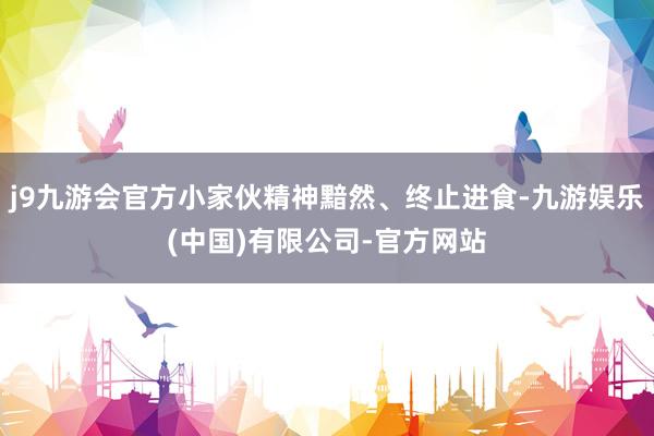 j9九游会官方小家伙精神黯然、终止进食-九游娱乐(中国)有限公司-官方网站
