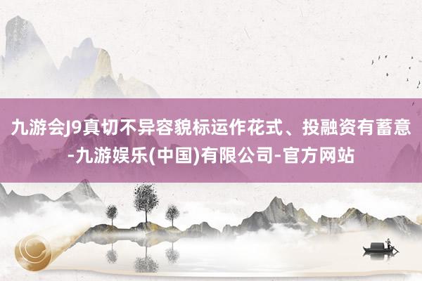 九游会J9真切不异容貌标运作花式、投融资有蓄意-九游娱乐(中国)有限公司-官方网站