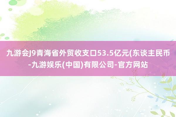九游会J9青海省外贸收支口53.5亿元(东谈主民币-九游娱乐(中国)有限公司-官方网站
