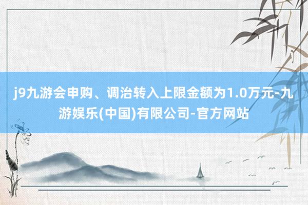 j9九游会申购、调治转入上限金额为1.0万元-九游娱乐(中国)有限公司-官方网站