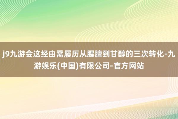 j9九游会这经由需履历从腥膻到甘醇的三次转化-九游娱乐(中国)有限公司-官方网站
