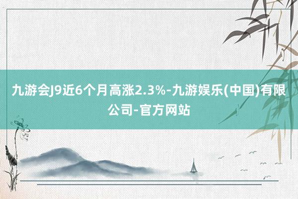 九游会J9近6个月高涨2.3%-九游娱乐(中国)有限公司-官方网站