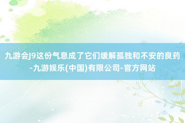 九游会J9这份气息成了它们缓解孤独和不安的良药-九游娱乐(中国)有限公司-官方网站