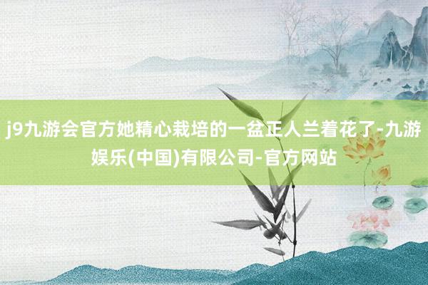 j9九游会官方她精心栽培的一盆正人兰着花了-九游娱乐(中国)有限公司-官方网站